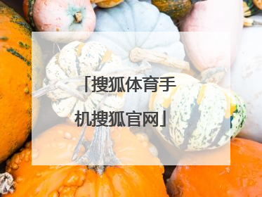 「搜狐体育手机搜狐官网」搜狐体育新闻搜狐体育