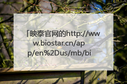 映泰官网的http://www.biostar.cn/app/en%2Dus/mb/bios.php?S_ID=366 61PBM630.CFS是用U盘刷新BIOS的吗